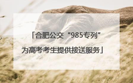 合肥公交“985专列”为高考考生提供接送服务