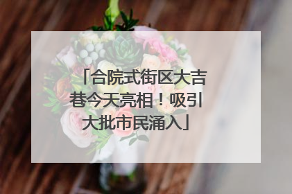 合院式街区大吉巷今天亮相！吸引大批市民涌入