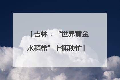 吉林：“世界黄金水稻带”上插秧忙