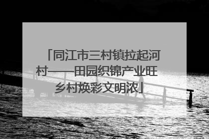 同江市三村镇拉起河村——田园织锦产业旺 乡村焕彩文明浓