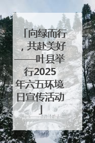 向绿而行，共赴美好——叶县举行2025年六五环境日宣传活动