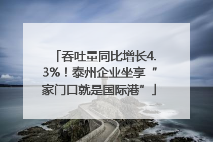 吞吐量同比增长4.3%！泰州企业坐享“家门口就是国际港”