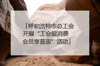 呼和浩特市总工会开展“工会促消费 会员享普惠”活动