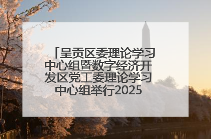呈贡区委理论学习中心组暨数字经济开发区党工委理论学习中心组举行2025年第七次学习会议