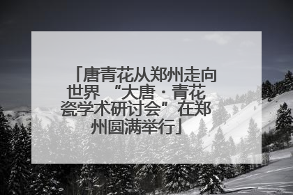 唐青花从郑州走向世界 “大唐・青花瓷学术研讨会”在郑州圆满举行