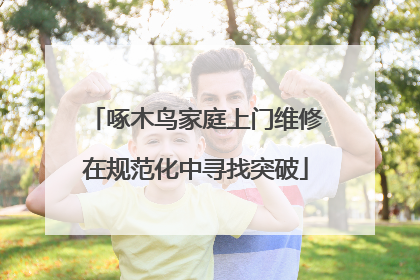 啄木鸟家庭上门维修在规范化中寻找突破