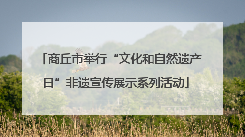 商丘市举行“文化和自然遗产日”非遗宣传展示系列活动