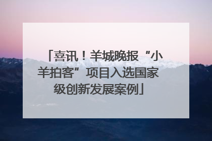喜讯！羊城晚报“小羊拍客”项目入选国家级创新发展案例