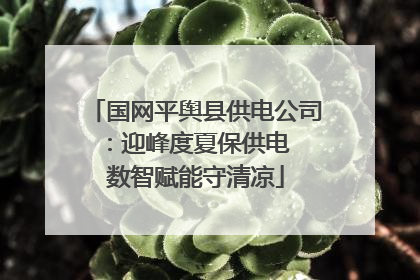 国网平舆县供电公司：迎峰度夏保供电  数智赋能守清凉