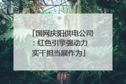 国网庆阳供电公司：红色引擎强动力 实干担当展作为