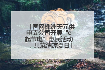国网株洲天元供电支公司开展“e起节电”惠民活动，共筑清凉夏日