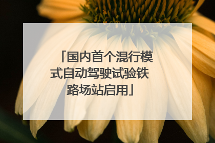 国内首个混行模式自动驾驶试验铁路场站启用