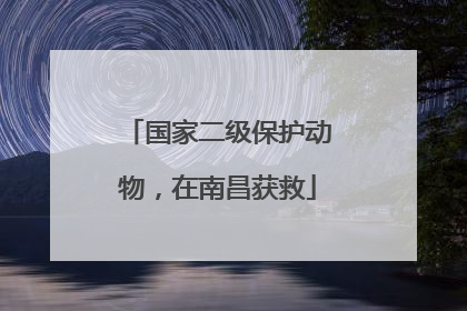 国家二级保护动物，在南昌获救
