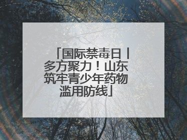 国际禁毒日丨多方聚力！山东筑牢青少年药物滥用防线