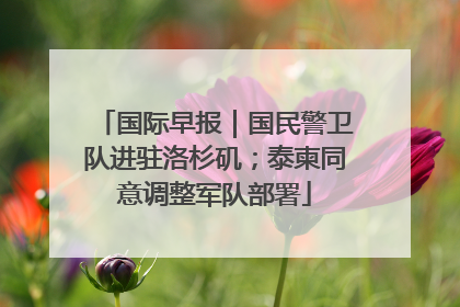 国际早报｜国民警卫队进驻洛杉矶；泰柬同意调整军队部署
