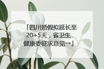 四川婚假拟延长至20+5天，省卫生健康委征求意见→