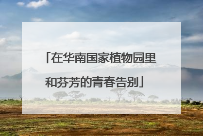 在华南国家植物园里和芬芳的青春告别