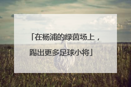 在杨浦的绿茵场上，踢出更多足球小将