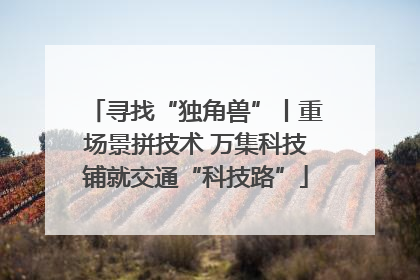 寻找“独角兽”丨重场景拼技术 万集科技铺就交通“科技路”