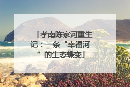 孝南陈家河重生记：一条“幸福河”的生态蝶变