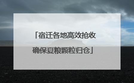 宿迁各地高效抢收 确保夏粮颗粒归仓