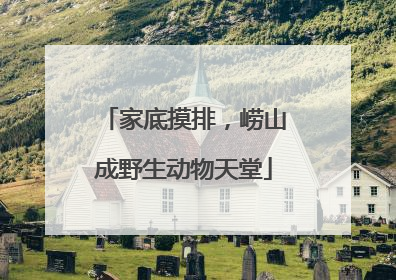 家底摸排，崂山成野生动物天堂