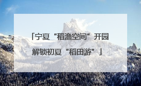 宁夏“稻渔空间”开园 解锁初夏“稻田游”