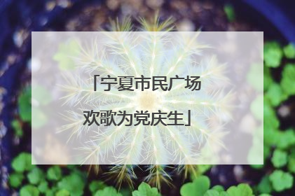 宁夏市民广场欢歌为党庆生