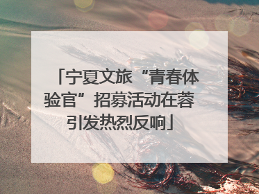 宁夏文旅“青春体验官”招募活动在蓉引发热烈反响