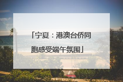 宁夏：港澳台侨同胞感受端午氛围