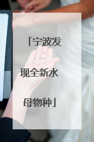 宁波发现全新水母物种