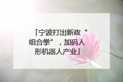宁波打出新政“组合拳”，加码人形机器人产业