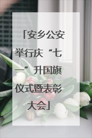 安乡公安举行庆“七一”升国旗仪式暨表彰大会