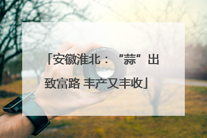 安徽淮北：“蒜”出致富路 丰产又丰收