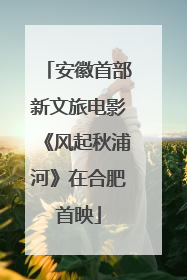 安徽首部新文旅电影《风起秋浦河》在合肥首映
