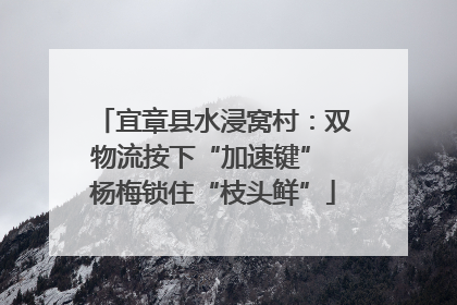 宜章县水浸窝村：双物流按下“加速键” 杨梅锁住“枝头鲜”