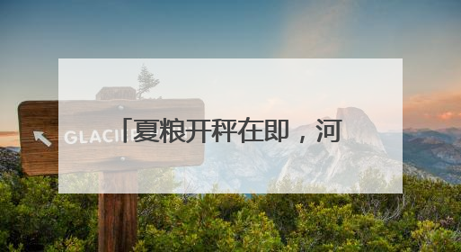 夏粮开秤在即，河北收购准备就绪