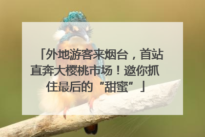 外地游客来烟台，首站直奔大樱桃市场！邀你抓住最后的“甜蜜”