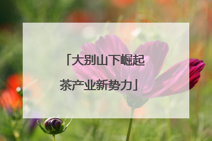 大别山下崛起茶产业新势力