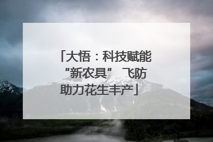 大悟：科技赋能“新农具” 飞防助力花生丰产