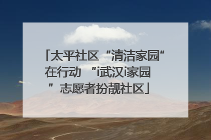 太平社区“清洁家园”在行动 “i武汉i家园”志愿者扮靓社区