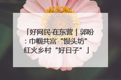 好网民·在东营｜郭盼：巾帼共富“馒头坊” 红火乡村“好日子”