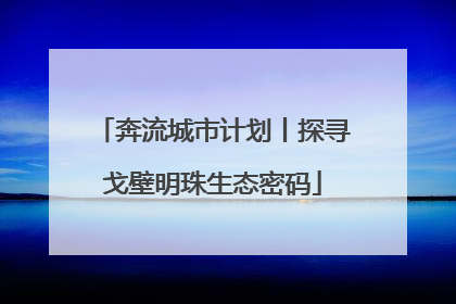 奔流城市计划丨探寻戈壁明珠生态密码