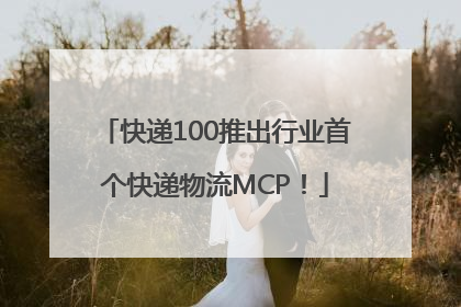 快递100推出行业首个快递物流MCP！