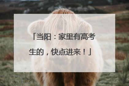 当阳：家里有高考生的，快点进来！