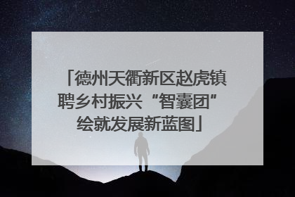 德州天衢新区赵虎镇聘乡村振兴“智囊团” 绘就发展新蓝图
