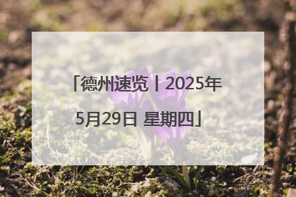 德州速览丨2025年5月29日 星期四