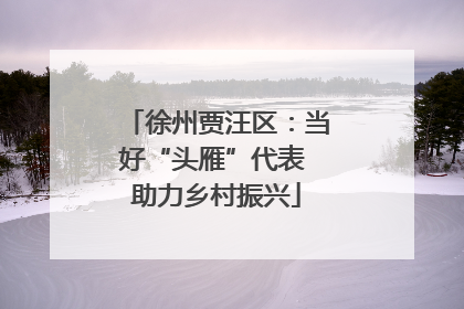徐州贾汪区：当好“头雁”代表 助力乡村振兴