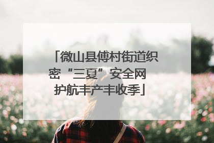 微山县傅村街道织密“三夏”安全网 护航丰产丰收季