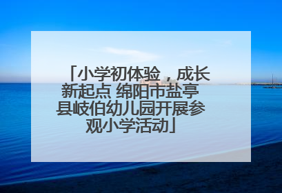 小学初体验，成长新起点 绵阳市盐亭县岐伯幼儿园开展参观小学活动